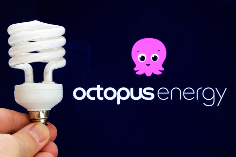 octopus-energy-ceo-questions-whether-support-can-help-usave-co-uk